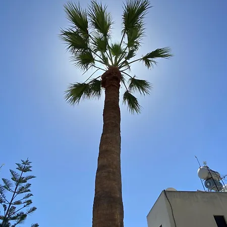 Seaside Luxury Flat In Harbour Tourist Area פאפוס