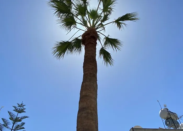 Seaside Luxury Flat In Harbour Tourist Area Paphos